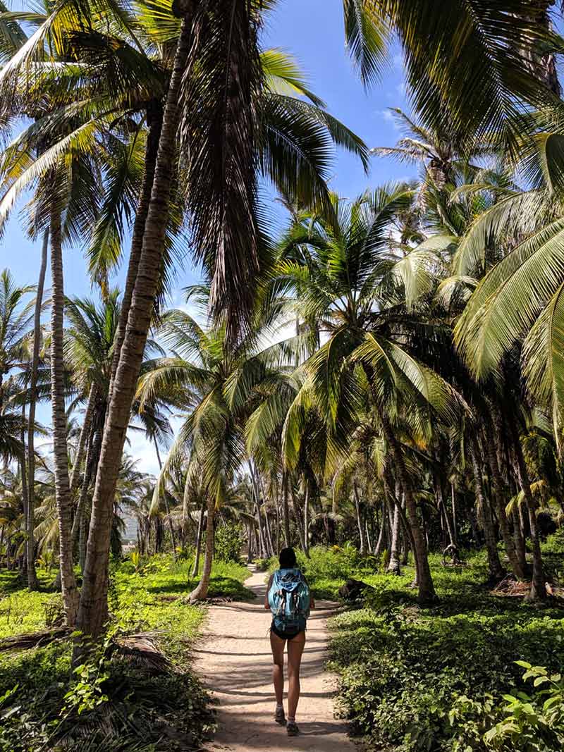 fotos parque tayrona Colombia