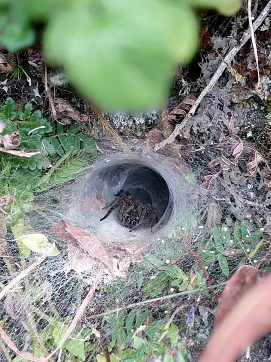 naturaleza Salkantay Trek