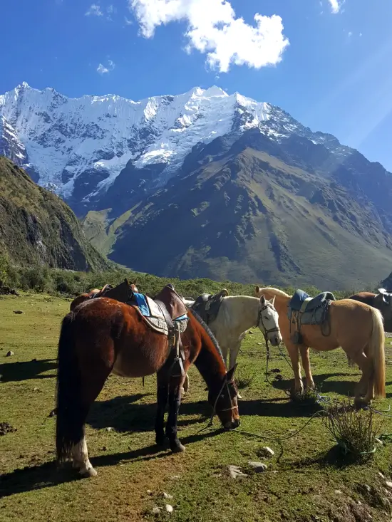 salkantay trek excursion