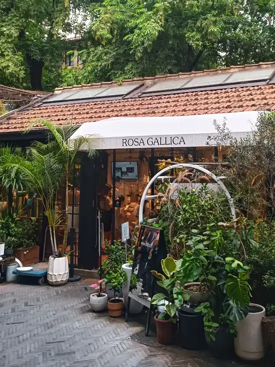 Concesion francesa que ver en shanghai