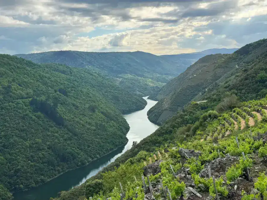 Ruta Por La Ribeira Sacra En Coche Qu Ver En 1 O 2 D as MAPA Ruta Por La Ribeira Sacra En Coche Qu Ver En 1 O 2 D as MAPA