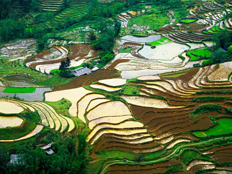 terrazas arroz yuanyang itinerario yunnan