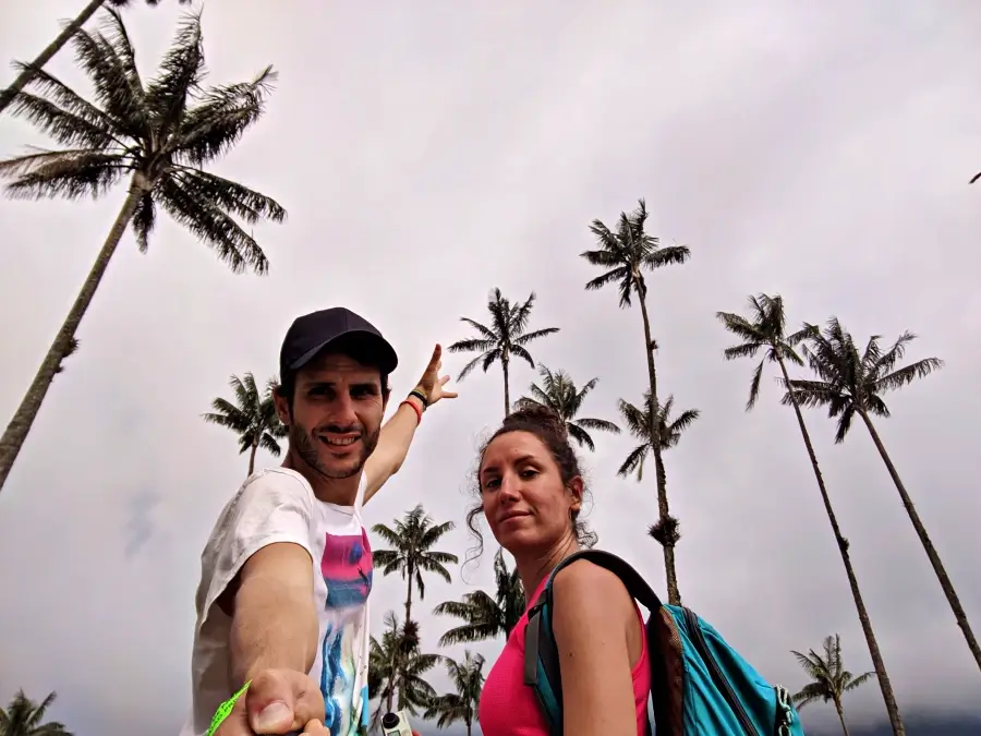 valle del cocora eje cafetero