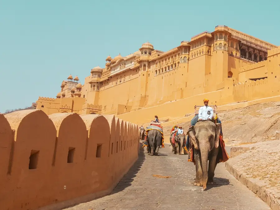 Amber fort jaipur