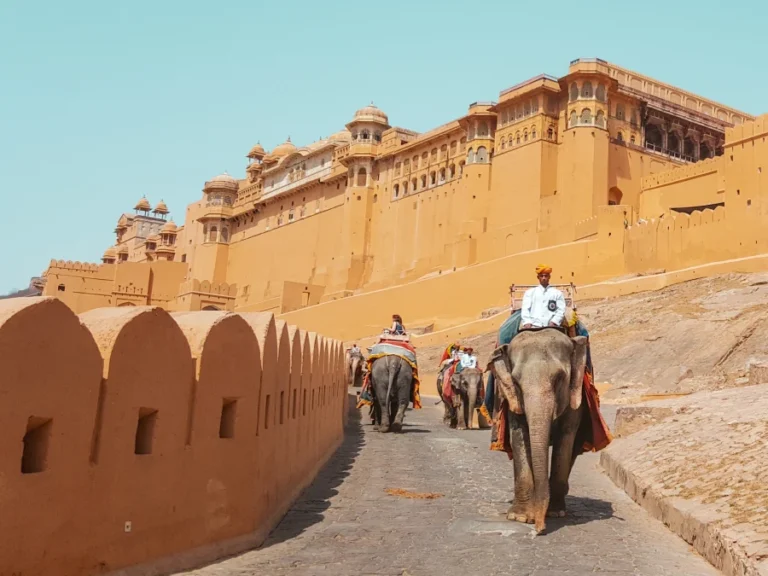 imprescindibles que ver en la india