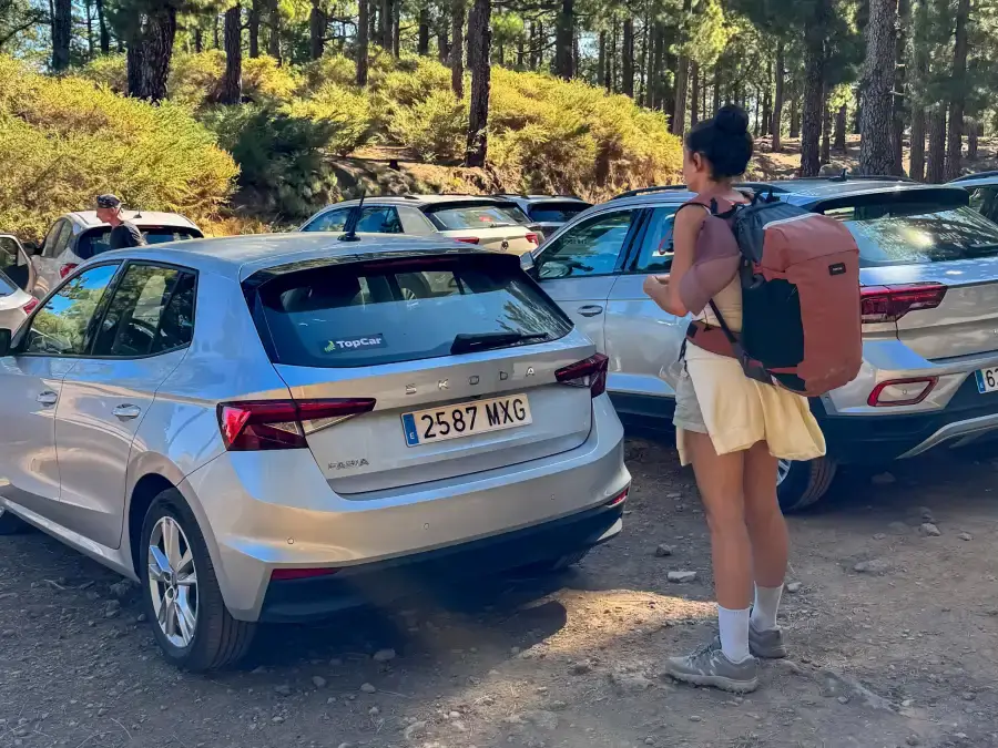 alquiler coche la palma