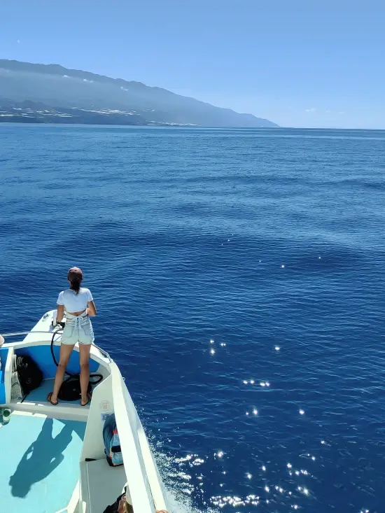 barco delfines la palma