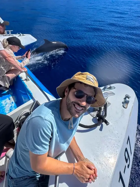 delfines la palma islas canarias
