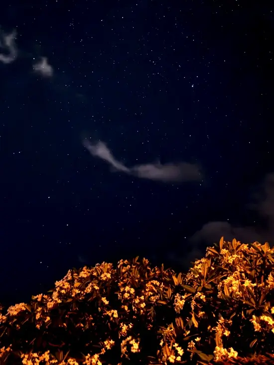 noche cielo estrellas alojamiento la palma