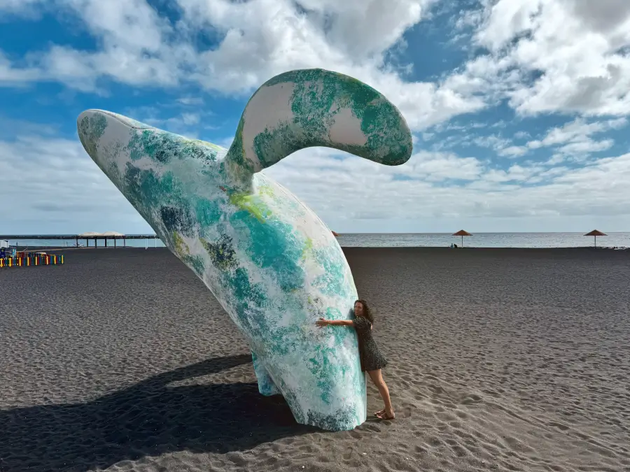 Playa de Santa Cruz de la palma