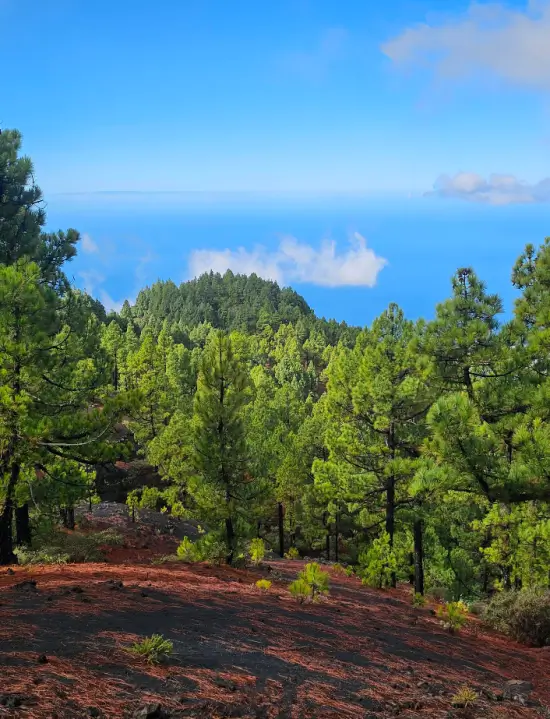 Ruta de los volcanes la Palma Canarias