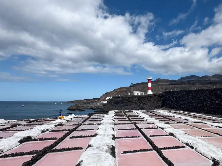 salinas fuencaliente la palma