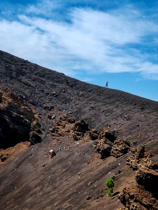 descenso el duraznero