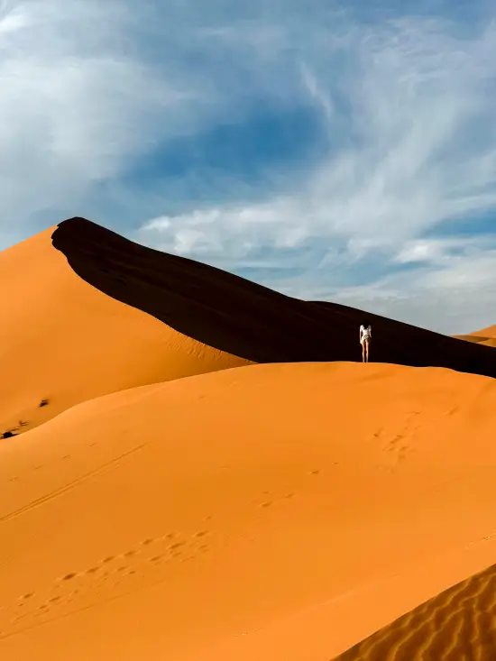 Excursion al desierto de Merzouga