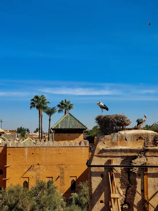 Que ver en Marrakech el badi