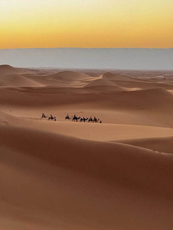 paseo camello desierto zagora erg chegaga