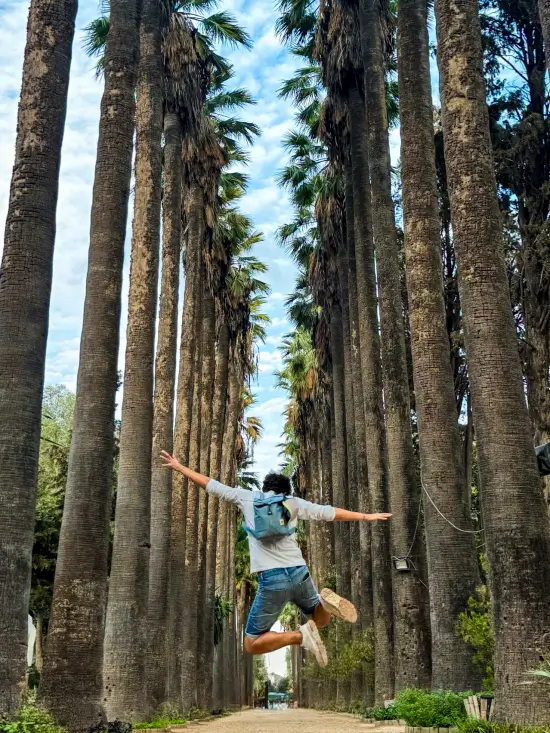 que ver en fezx parque