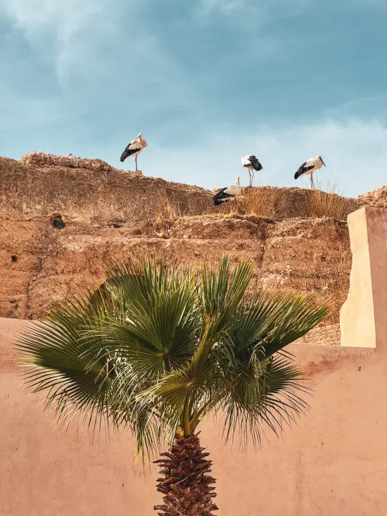 visitar mequinez marruecos