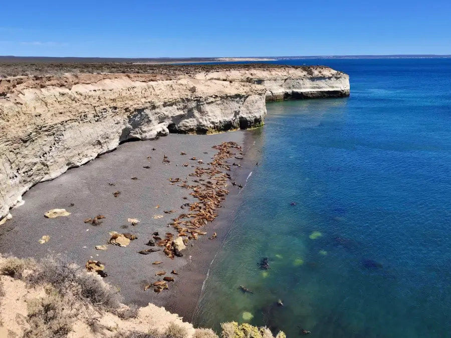 que ver en la patagonia puerto madryn