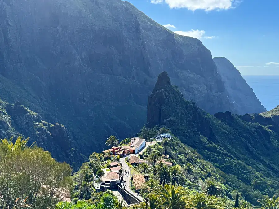 masca alojamiento tenerife norte