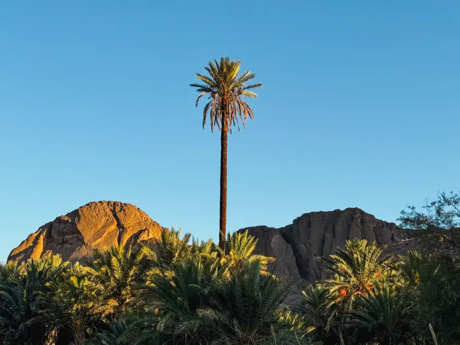 sur de Marruecos en coche marrakech