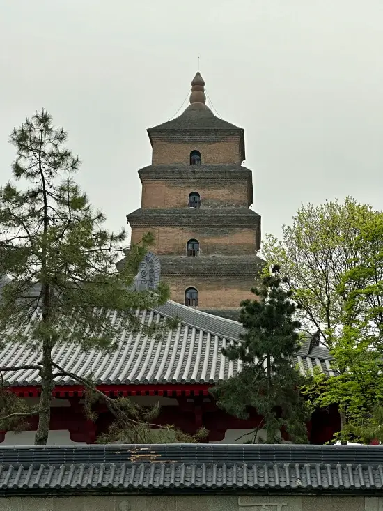 gran pagoda ganso salvaje china