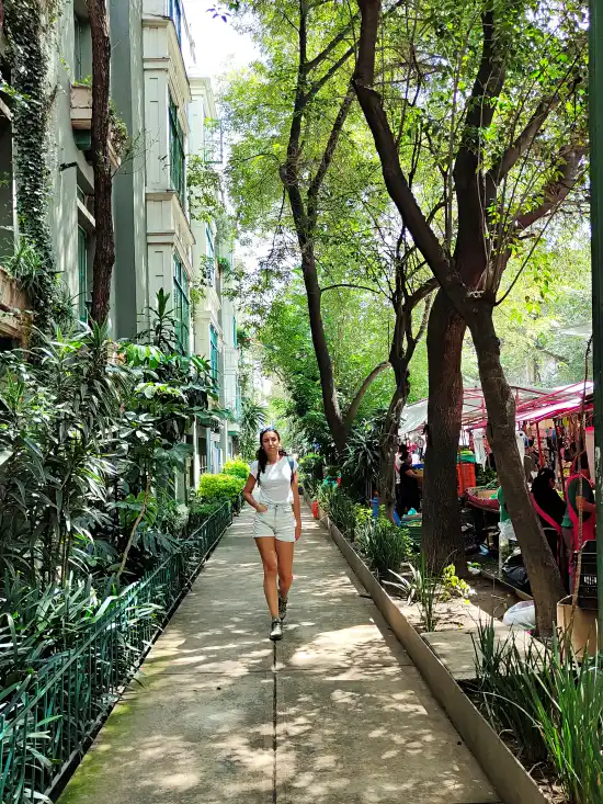 calles colonia roma ciudad de mexico