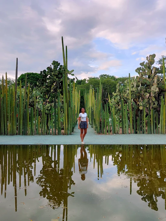 jardin etnobotanico que ver en oaxaca
