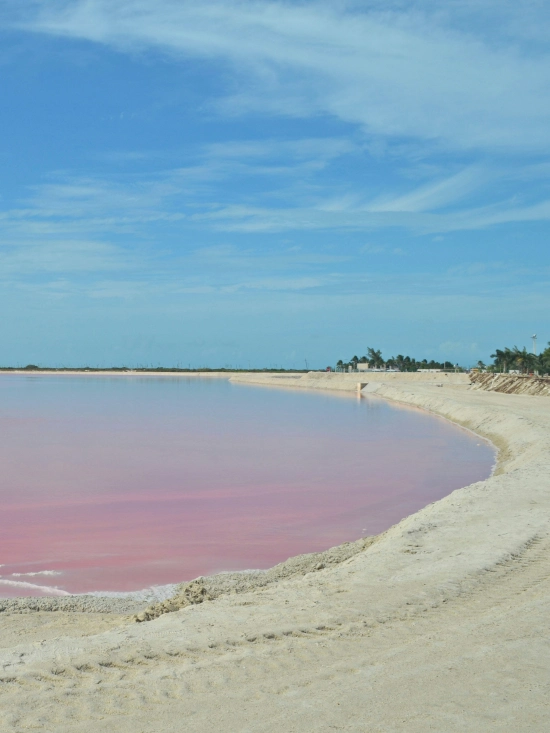las coloradas peninsula yucatan mexico