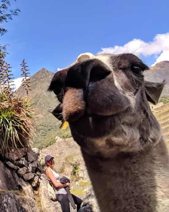 llegar a machu picchu