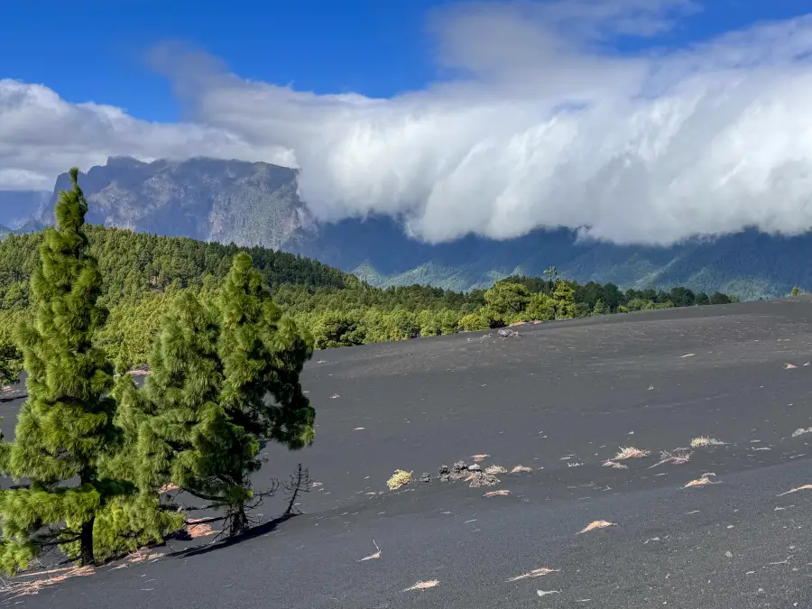 nuevo volcan de la palma