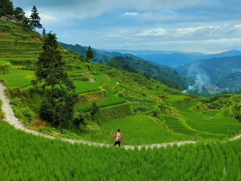 que ver guizhou china