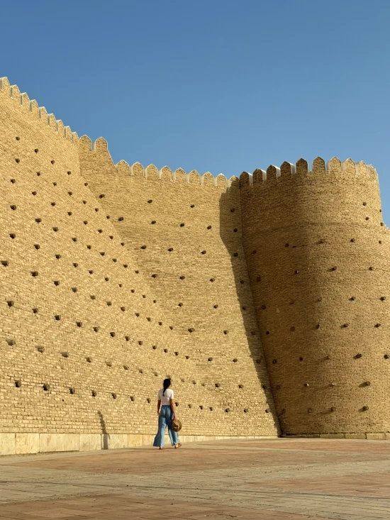 fortaleza ark ciudadela bujara