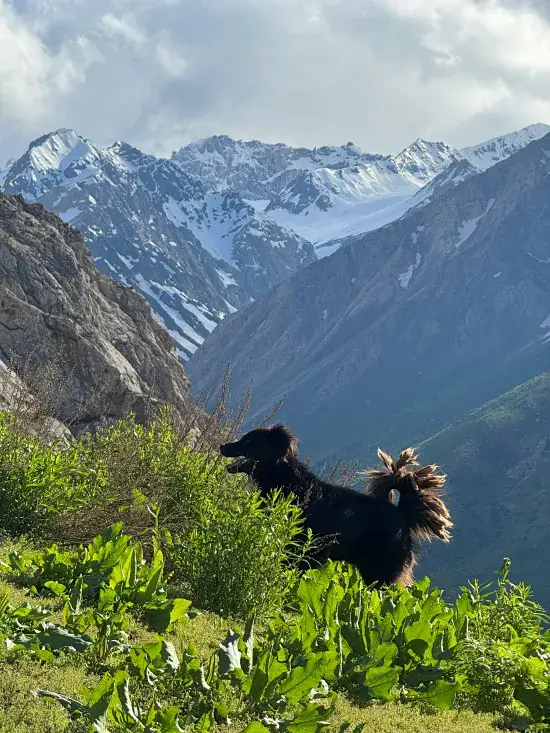 paisajes trekking siete lagos tajikistan